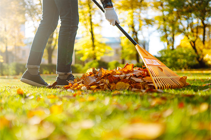 Herbstlaub: Rechen Oder Liegen Lassen? | Helpling DE